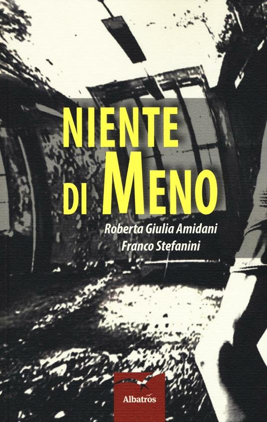 Niente di meno - Roberta Giulia Amidani,Franco Stefanini - copertina