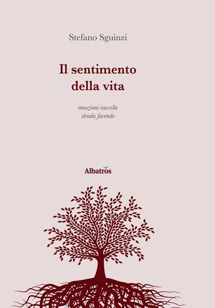 Il sentimento della vita. Emozioni raccolte strada facendo - Stefano Sguinzi - copertina