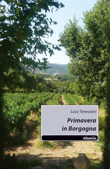 Primavera in Borgogna - Luca Terenzoni - ebook