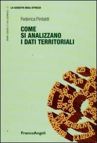 Come si analizzano i dati territoriali - Federica Pintaldi - copertina