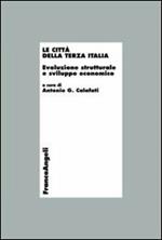 Le città della terza Italia. Evoluzione strutturale e sviluppo economico