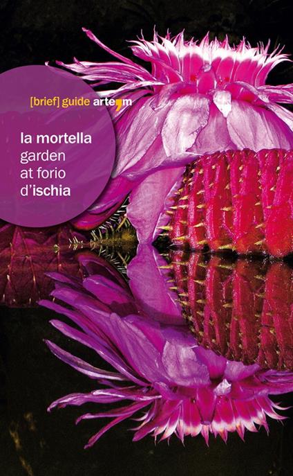 La Mortella garden at Forio d'Ischia - copertina