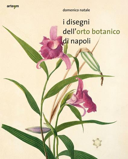 I disegni dell'orto botanico di Napoli. Ediz. illustrata - Domenico Natale - copertina
