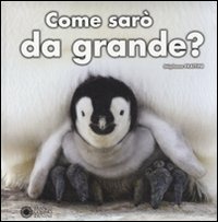 Libraccio