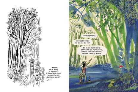 Come nascono gli alberi. Ediz. illustrata - Charles Berbérian - 2