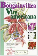 Coltivare bouganvillea e vite americana