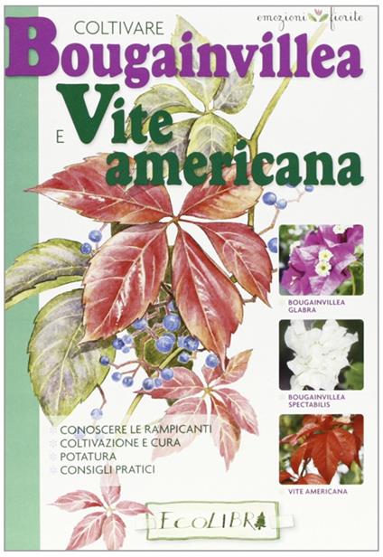Coltivare bouganvillea e vite americana - copertina