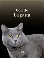 Nome prodotto
