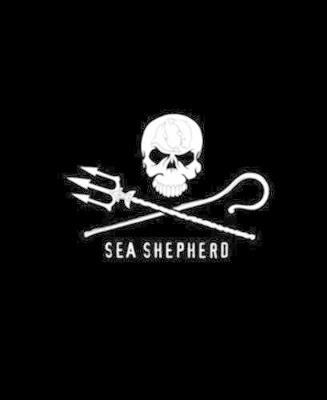 Sea Shepherd. 40 years. The official book. Ediz. a colori - copertina