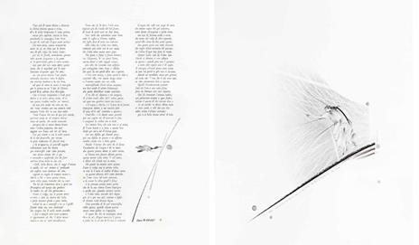 Cecco Bonanotte. La Divina Commedia. Purgatorio. Ediz. italiana e inglese - 3