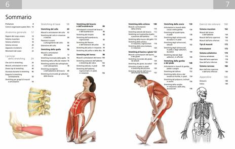 Manuale di anatomia per lo stretching. 50 esercizi illustrati di stretching, rinforzante e tonificante - Ken Ashwell - 2