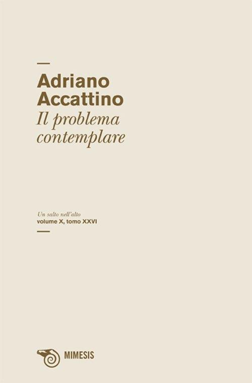 Un salto nell'alto. Vol. 10\26: Il problema del contemplare. - Adriano Accattino - copertina