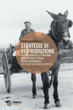 Strategie di ri-produzione. Aziende agricole e strutture familiari nella Sicilia centro-occidentale