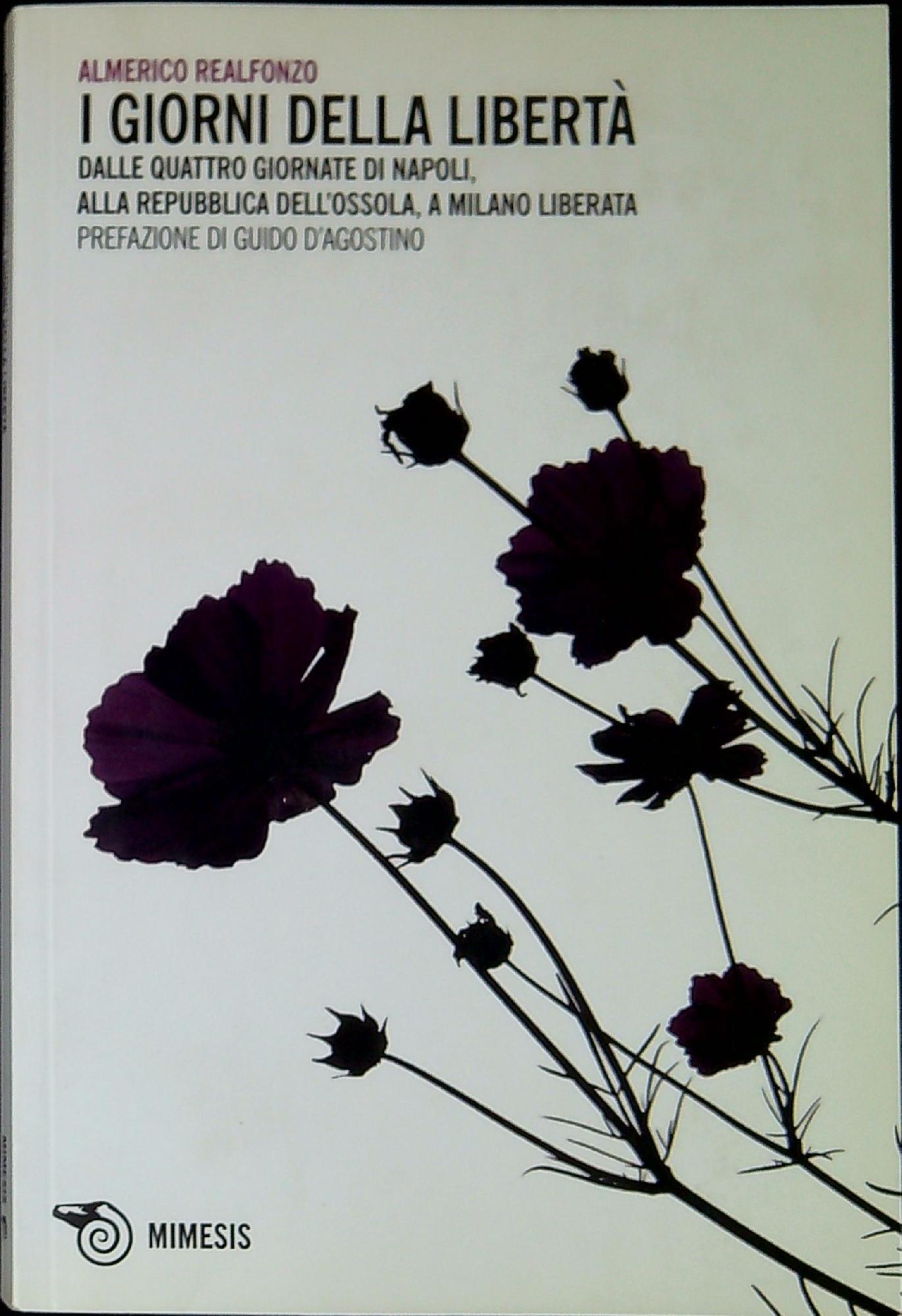 Libreria Serendipity