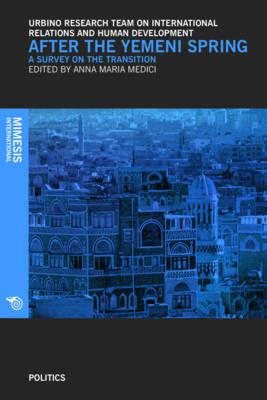 After the Yemeni Spring. A survey on the transition - copertina