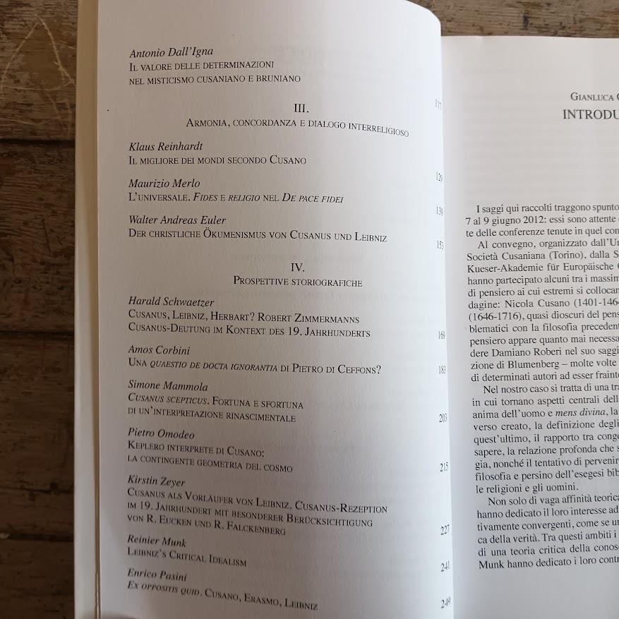 Cusano e Leibniz. Prospettive filosofiche