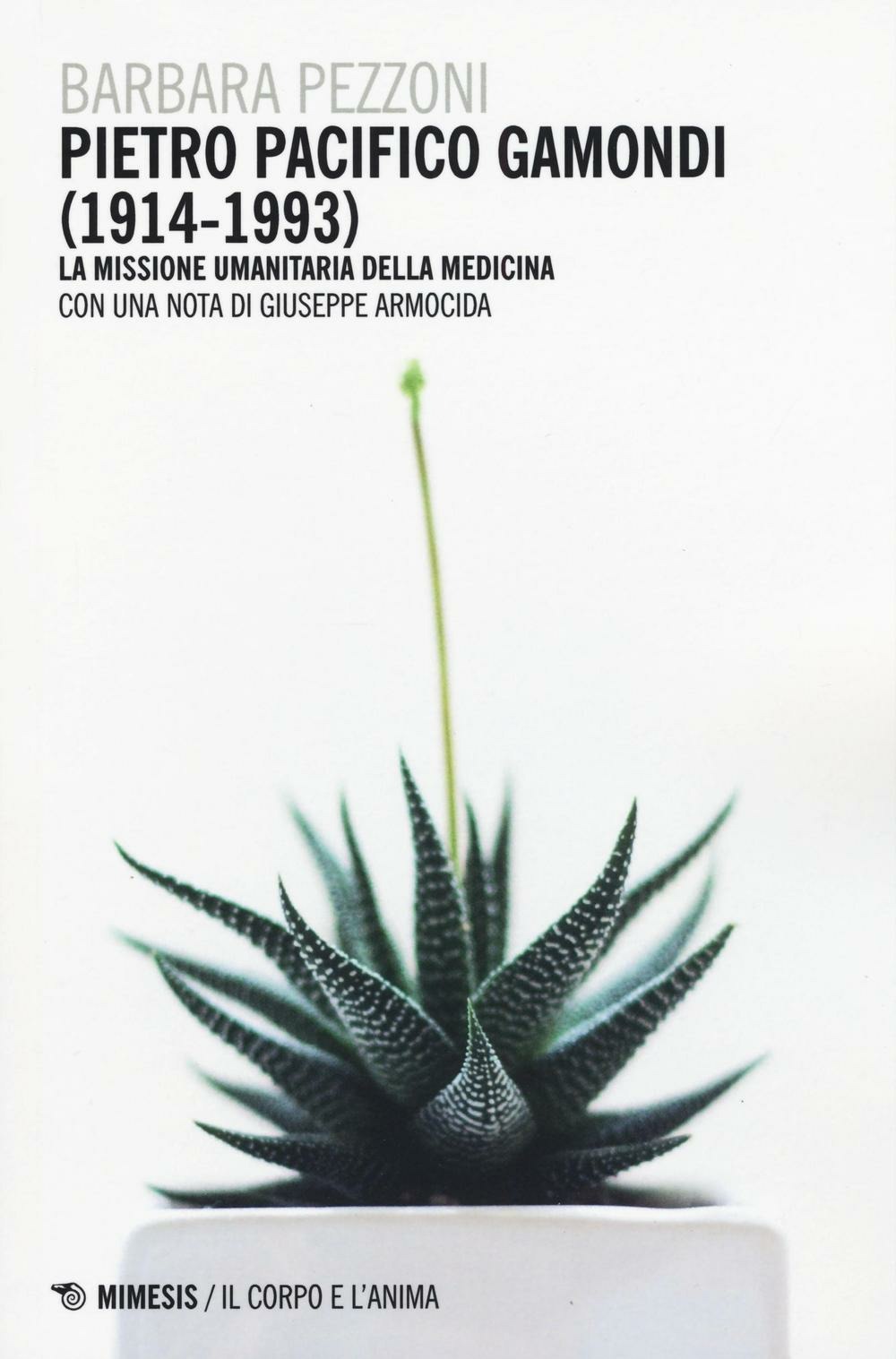 Libraccio