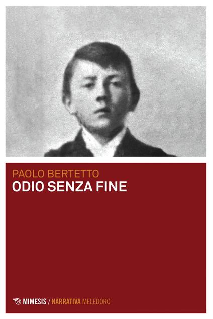 Odio senza fine - Paolo Bertetto - ebook