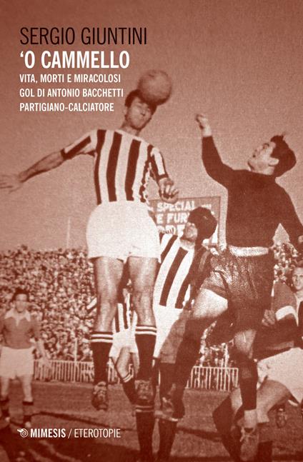 'O cammello. Vita, morti e miracolosi gol di Antonio Bacchetti partigiano-calciatore - Sergio Giuntini - copertina