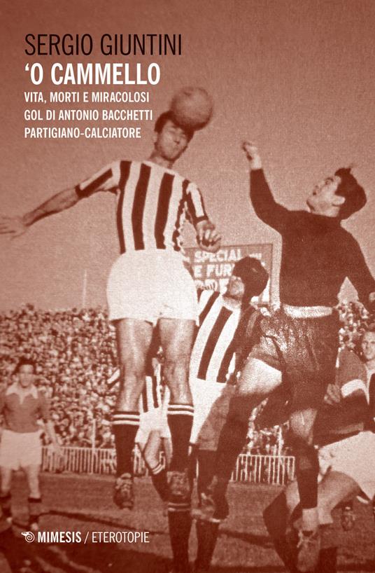 'O cammello. Vita, morti e miracolosi gol di Antonio Bacchetti partigiano-calciatore - Sergio Giuntini - copertina