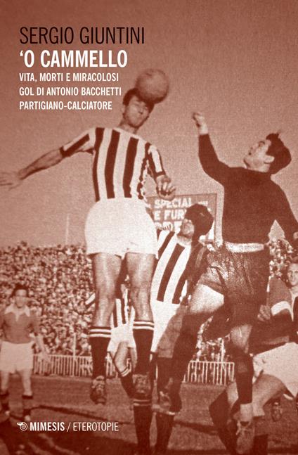  O Cammello. Vita, morti e miracolosi gol di Antonio Bacchetti partigiano-calciatore -  Sergio Giuntini - copertina