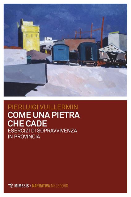 Come una pietra che cade. Esercizi di sopravvivenza in provincia - Pierluigi Vuillermin - ebook