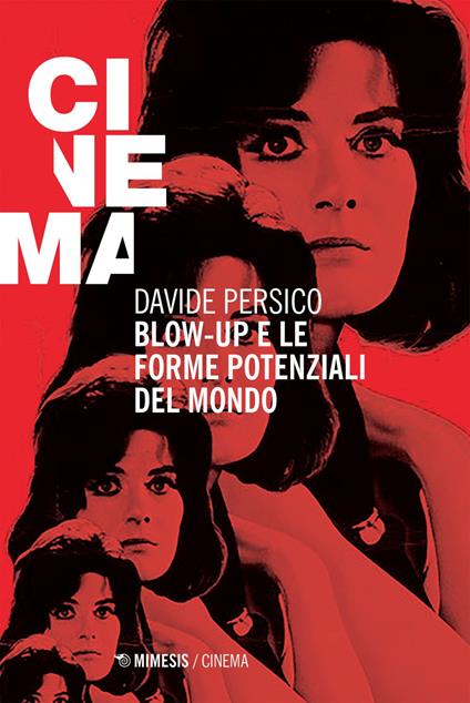 Blow-up e le forme potenziali del mondo - Davide Persico - ebook