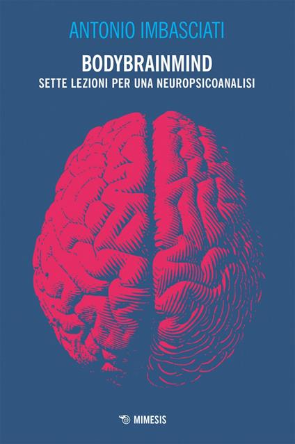Bodybrainmind. Sette lezioni per una neuropsicoanalisi - Antonio Imbasciati - ebook