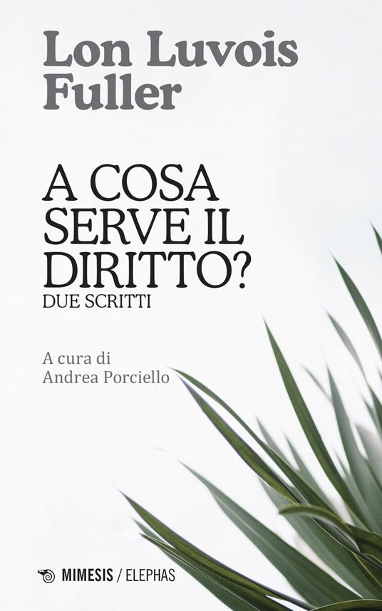 A cosa serve il diritto? Due scritti - Lon Luvois Fuller - copertina