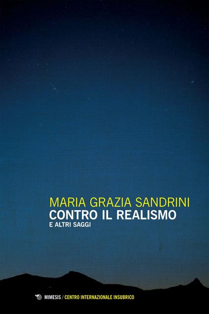 Contro il realismo e altri saggi - Maria Grazia Sandrini - ebook
