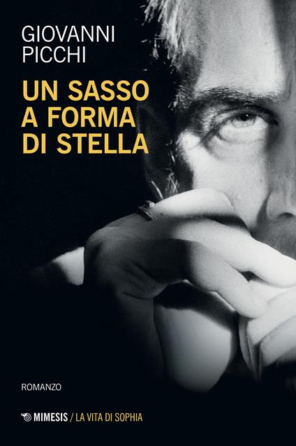 Un sasso a forma di stella - Giovanni Picchi - copertina