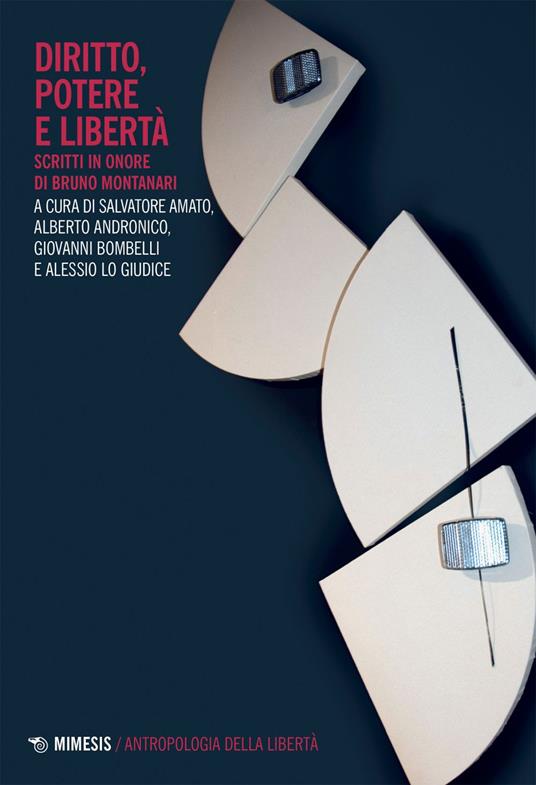 Diritto, potere e libertà. Scritti in onore di Bruno Montanari - Salvatore Amato,Alberto Andronico,Giovanni Bombelli,Antonio Lo Giudice - ebook