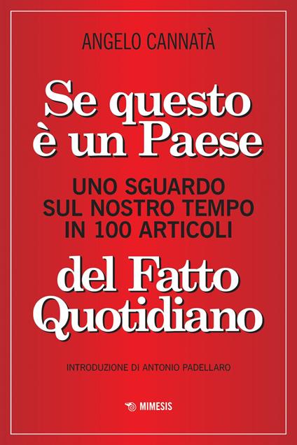 Se questo è un paese. Uno sguardo sul nostro tempo in 100 articoli del Fatto Quotidiano - Angelo Cannatà - ebook