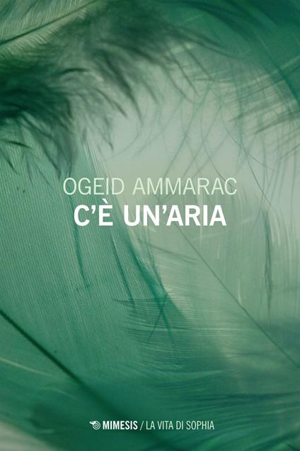 C'è un'aria - Ogeid Ammarac - ebook