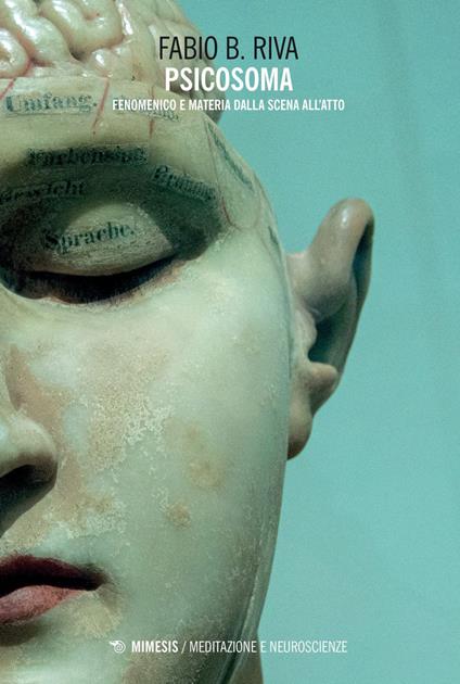 Psicosoma. Fenomenico e materia dalla scena all'atto - Fabio Bruno Riva - ebook