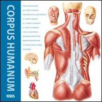 Corpus humanum. Ediz. italiana, inglese, francese, spagnola e tedesca - copertina