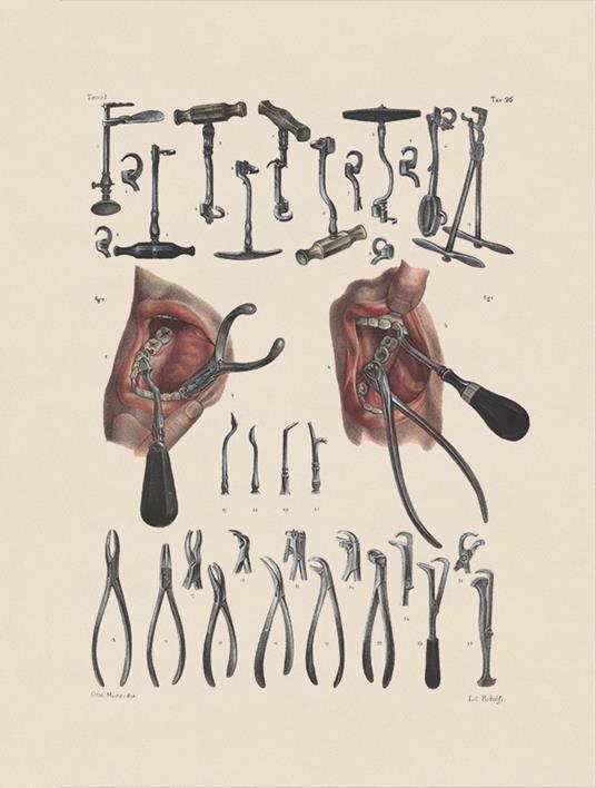 Il sorriso rubato - Richard Barnett - 3