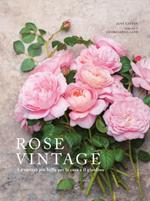 Rose vintage. Le varietà più belle per la casa e il giardino