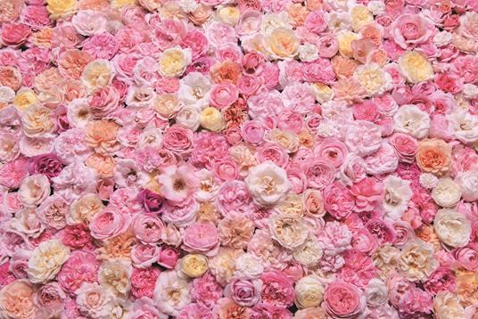 Rose vintage. Le varietà più belle per la casa e il giardino - Jane Eastoe - 5