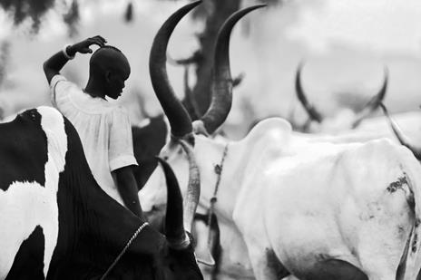 Fotografia in bianco e nero. Il nuovo bianco e nero. L'arte senza tempo della monocromia - Michael Freeman - 4