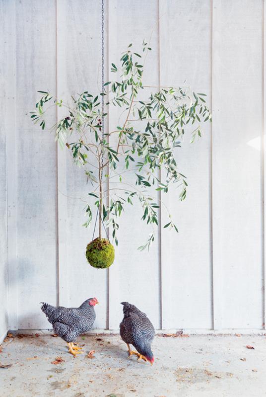 Kokedama. L'arte giapponese delle piante sospese - Coraleigh Parker - 3