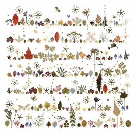 Fiori e foglie pressati ad arte - Jennie Ashmore - 5
