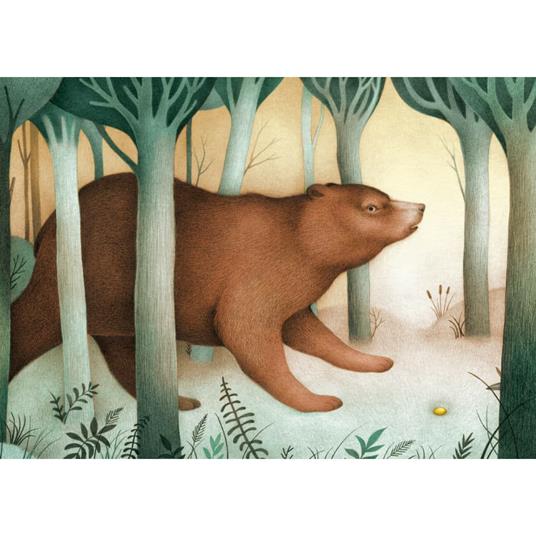 L' orso e il sasso. Ediz. a colori - Victoria Pérez Escrivá - 2