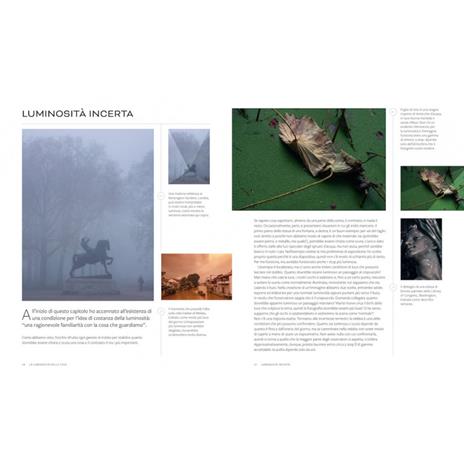Luce e ombra. Il corso definitivo per il fotografo professionista - Michael Freeman - 3