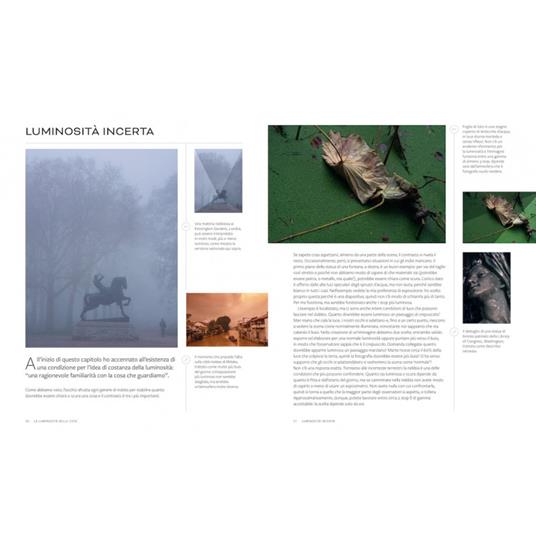 Luce e ombra. Il corso definitivo per il fotografo professionista - Michael Freeman - 3