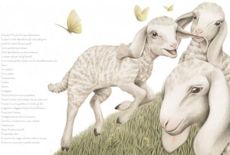 La pecora - Sara D'Angelo - 2