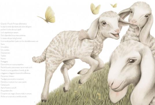 La pecora - Sara D'Angelo - 2