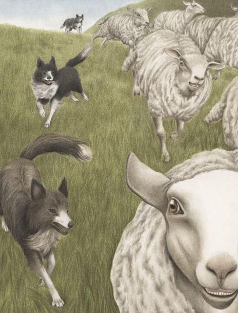 La pecora - Sara D'Angelo - 4