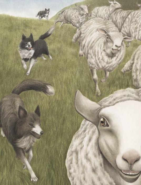 La pecora - Sara D'Angelo - 4