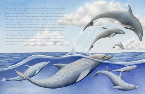 Il delfino. Ediz. a colori - Francesco Cortonesi - 3
